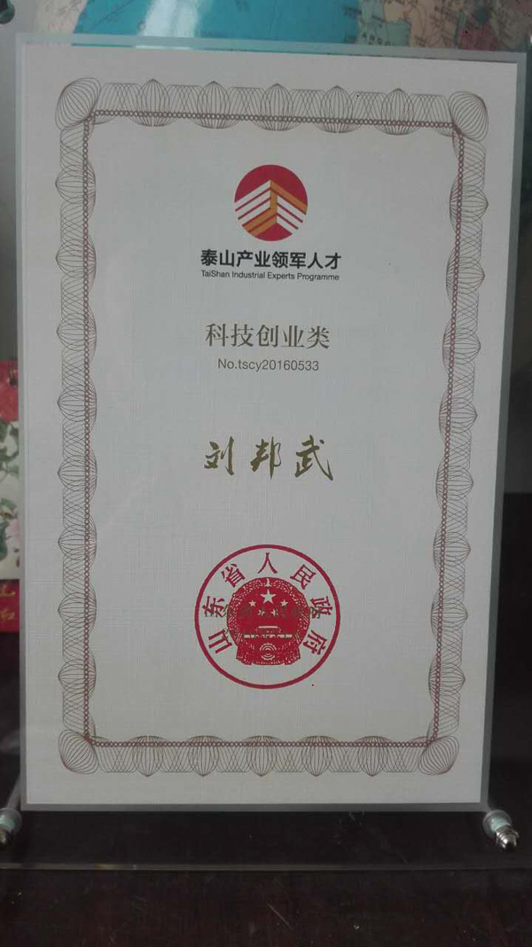 泰山领军企业证书